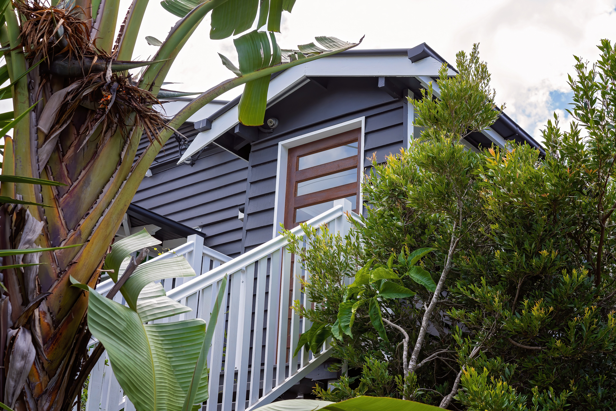 Brisbane Home in a leafy suburb