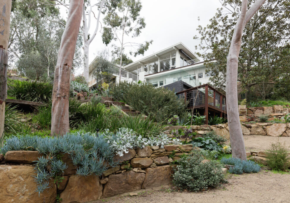 Beautiful,Established,Landscaped,Native,Garden,With,Gum,Trees,In,Australian